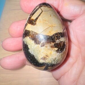 Septarium stone dragon egg.